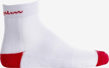 Champion Authentic Athletic Apparel Athletic Socks in White