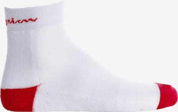 Champion Authentic Athletic Apparel Sportsocken in Weiß