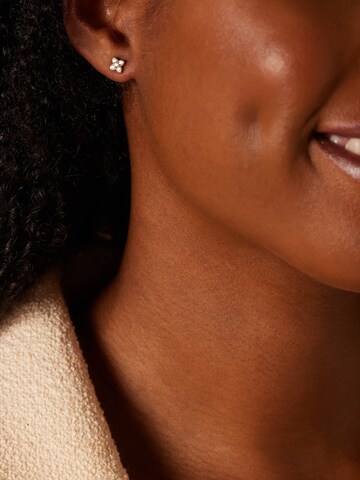 Lucardi Earrings 'Basic' in Gold