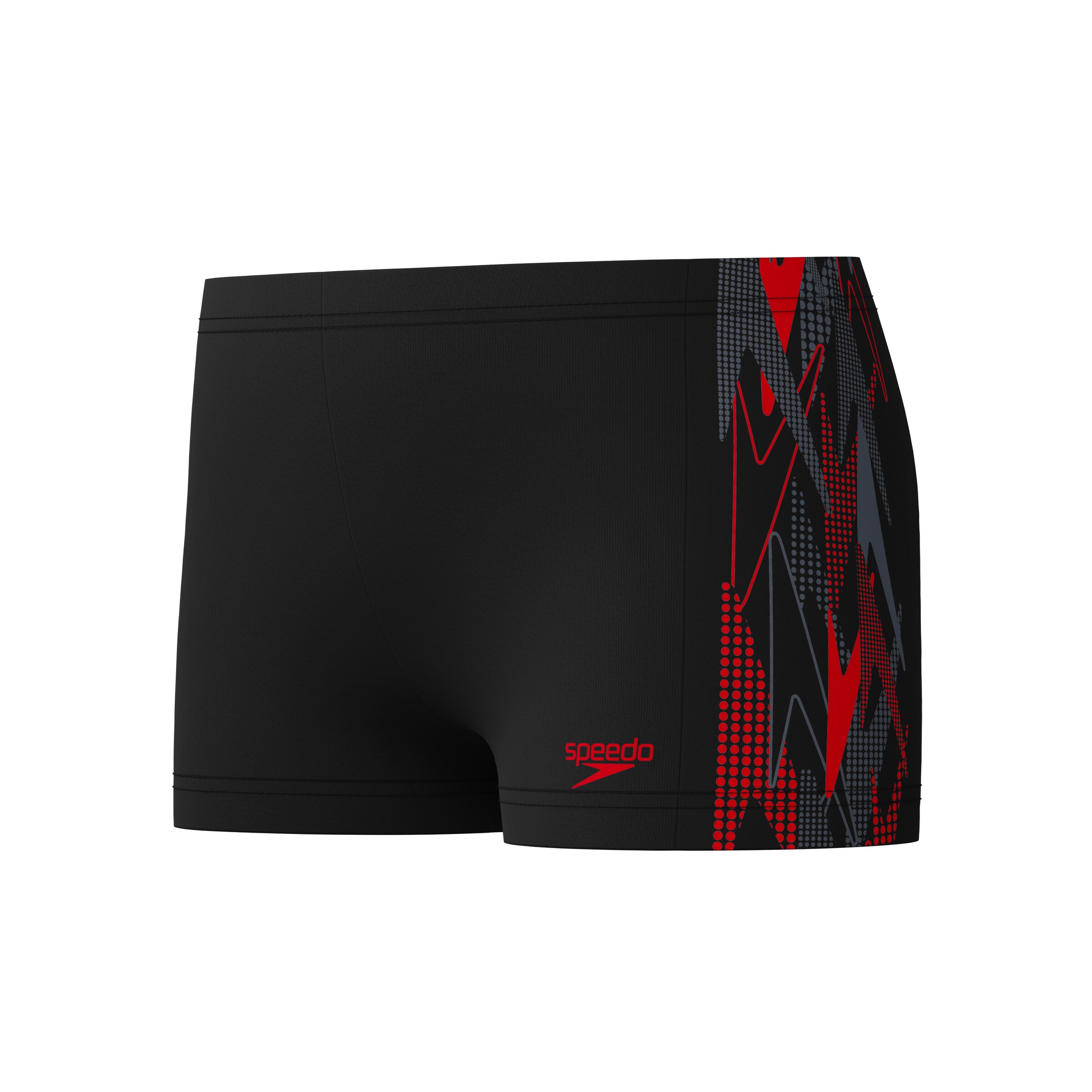 SPEEDO Board Shorts in Black