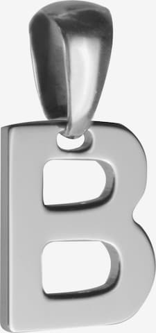 FAVS Anhänger in Silber: Vorderseite