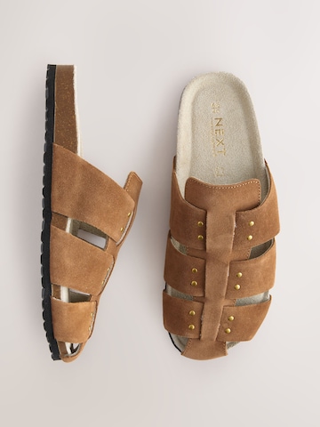 Zoccoletto di Next in marrone