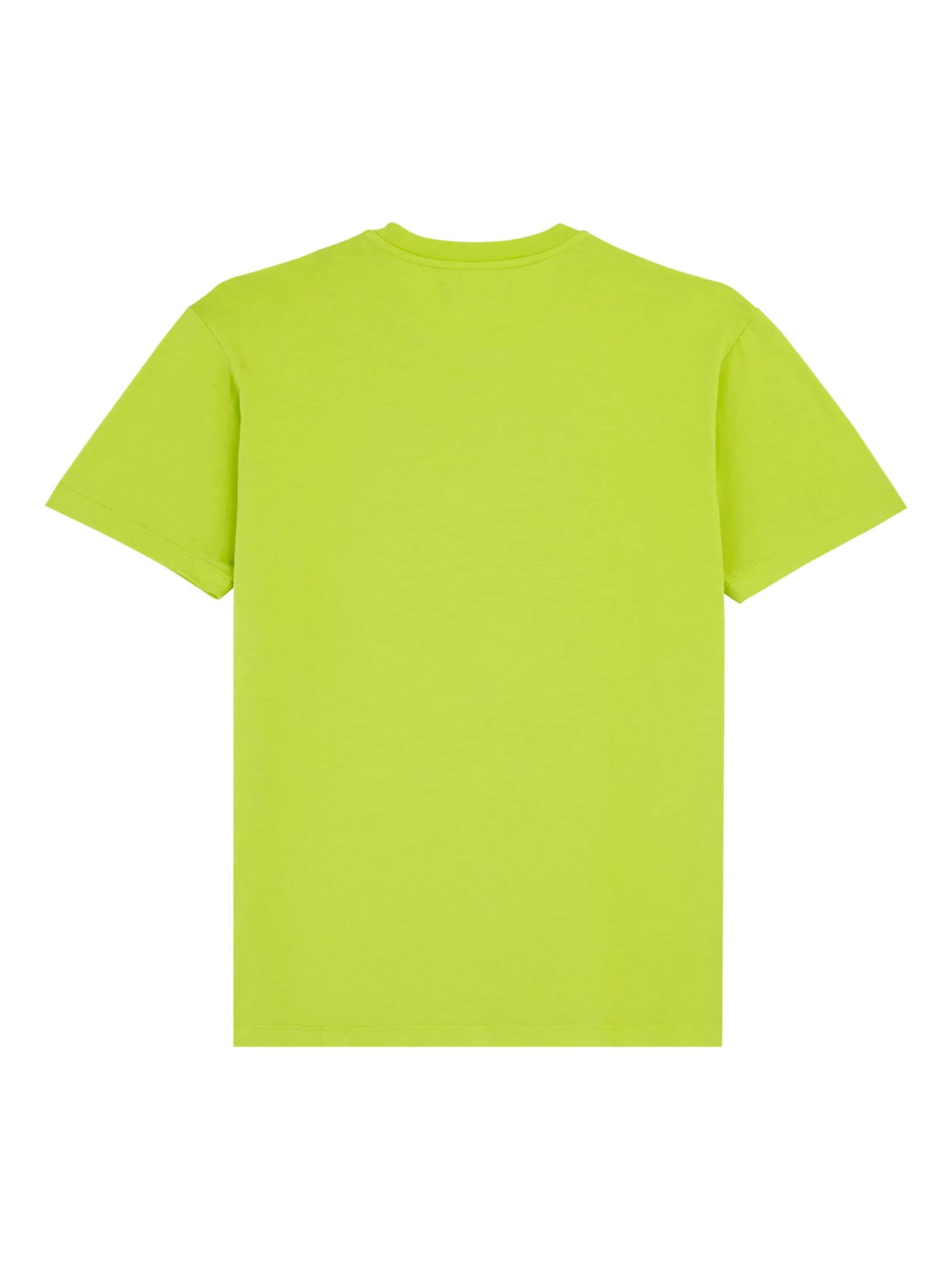 Vilebrequin Shirt in Green
