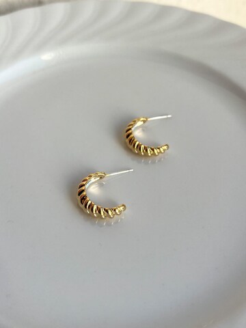 Kamakula Earrings 'Twisted Croissant' in Gold