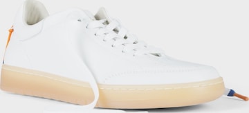 Barracuda Sneakers in Weiß: Vorderseite