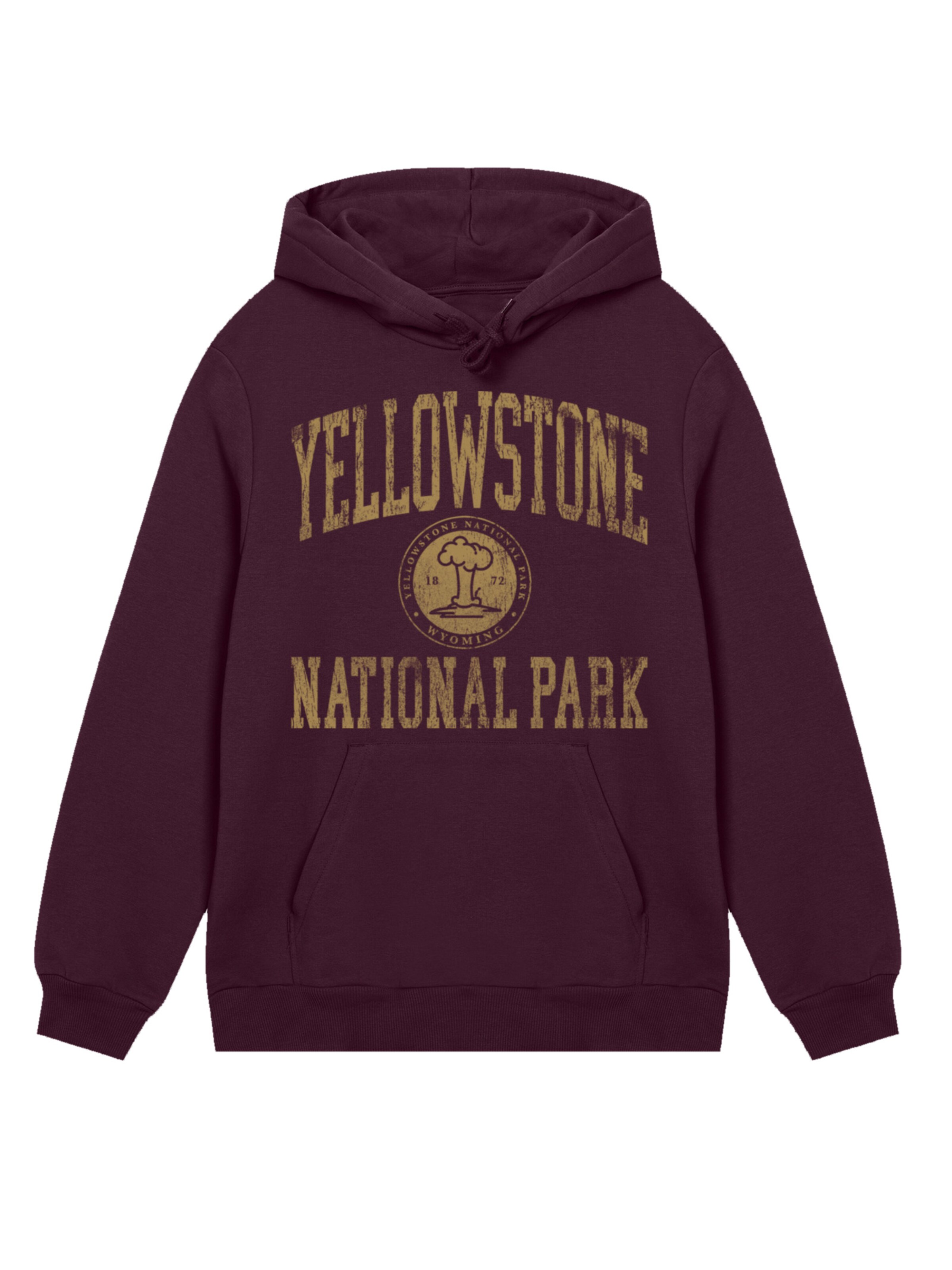 F4NT4STIC Sweatshirt 'US National Parks Yellowstone Wyoming' in Brown: front