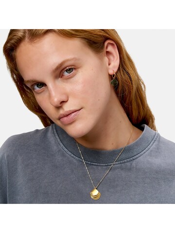 Liebeskind Berlin Earrings in Yellow
