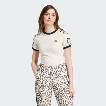 ADIDAS ORIGINALS Μπλουζάκι σε λευκό: μπροστά