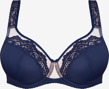 Gorsenia BH 'K441 Luisse' in Blauw: voorkant
