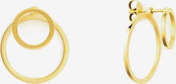 Heideman Earrings in Gold: front