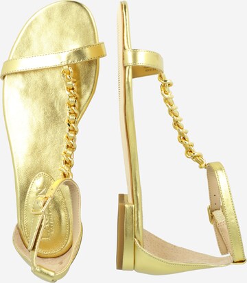 Lauren Ralph Lauren Sandalen met riem 'ELISE' in Goud