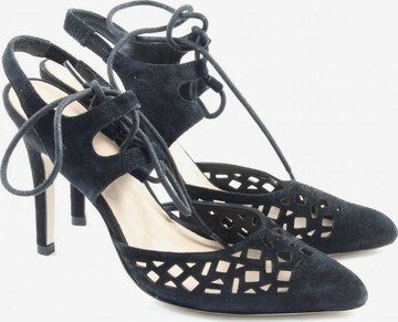 Main street frequently regulate Kate Gray Shoes for women | Buy online | ABOUT YOU