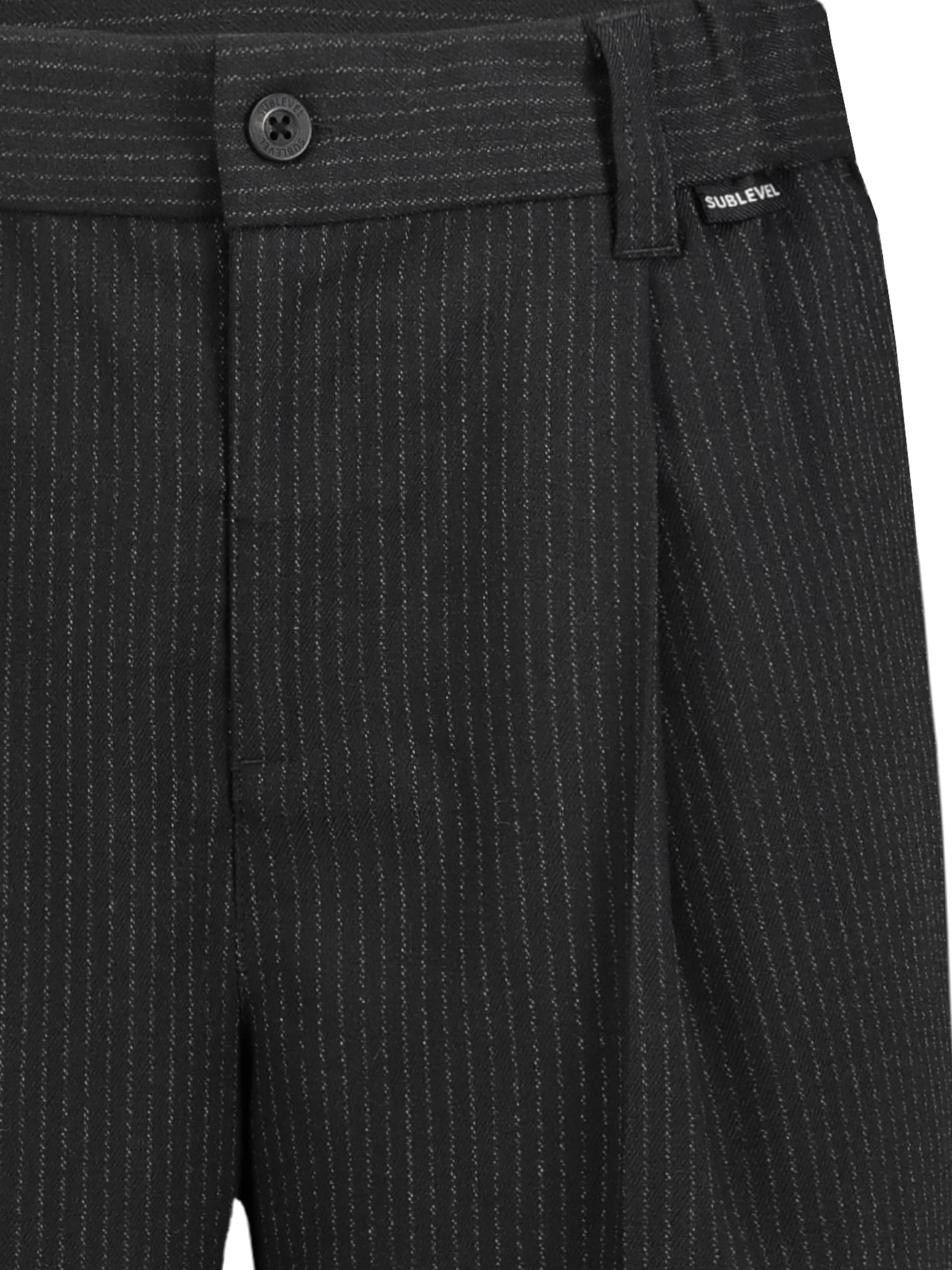 Sublevel Wide leg Pleat-Front Pants in Black