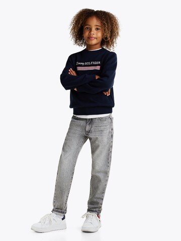 TOMMY HILFIGER Regular Jeans in Grey