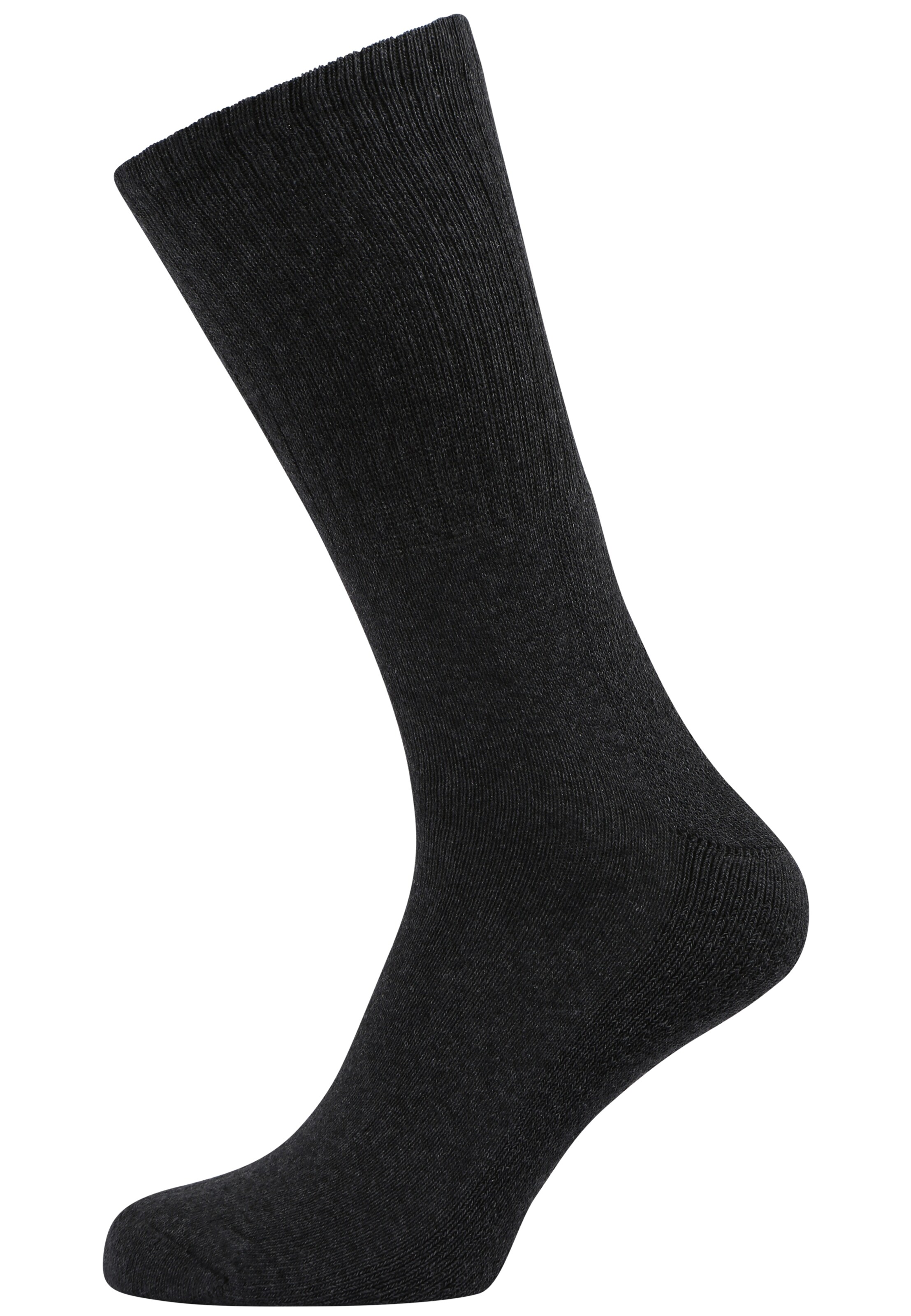 Götzburg Socks in Grey
