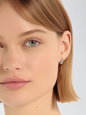 Boucles d'oreilles Lucardi en argent : devant