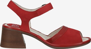 FLY LONDON Strap Sandals in Red