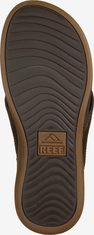 REEF Beach & Pool Shoes 'Cushion Bounce Lux' in Brown