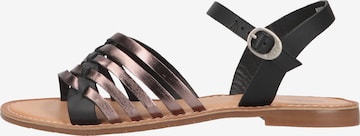 Kickers Strap Sandals in Black