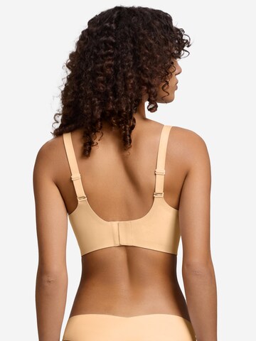 SHARICCA Push-up Bra in Beige