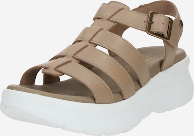 Basutės su dirželiais 'Naila B4' iš PANAMA JACK, spalva – rausvai pilka, Prekių apžvalga