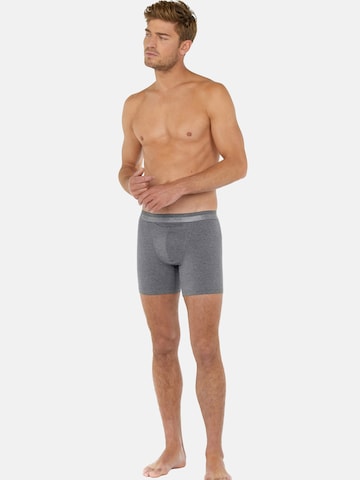 HOM Boxershorts ' Long Boxer Briefs HO1 ' in Grijs