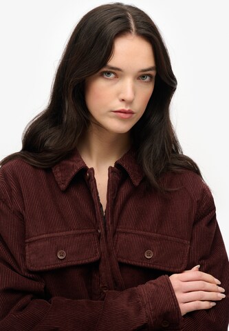 Veste mi-saison Superdry en marron