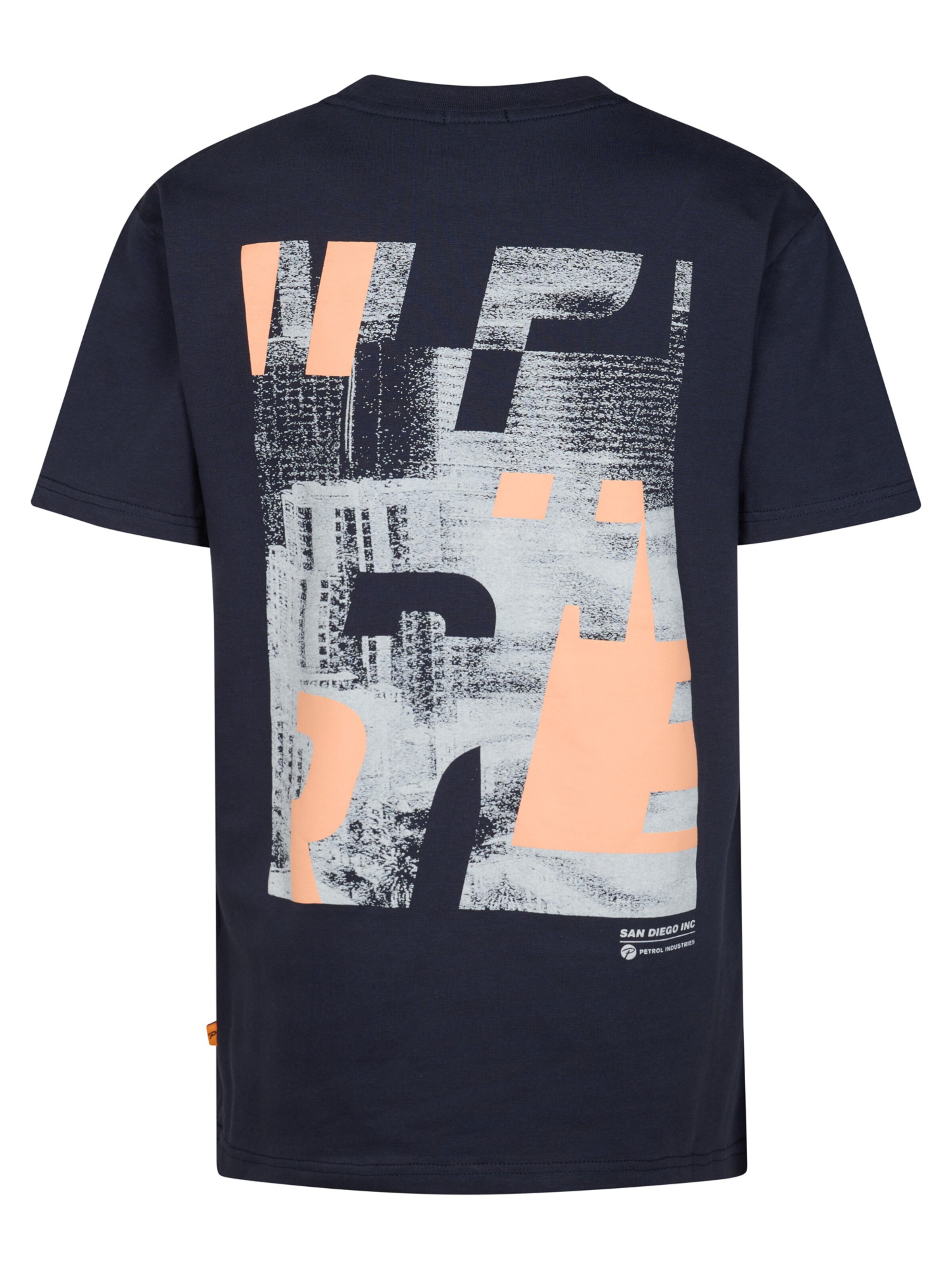 Petrol Industries Shirt in Blauw