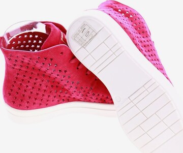 Giancarlo Paoli Sneakers & Trainers in 36 in Pink
