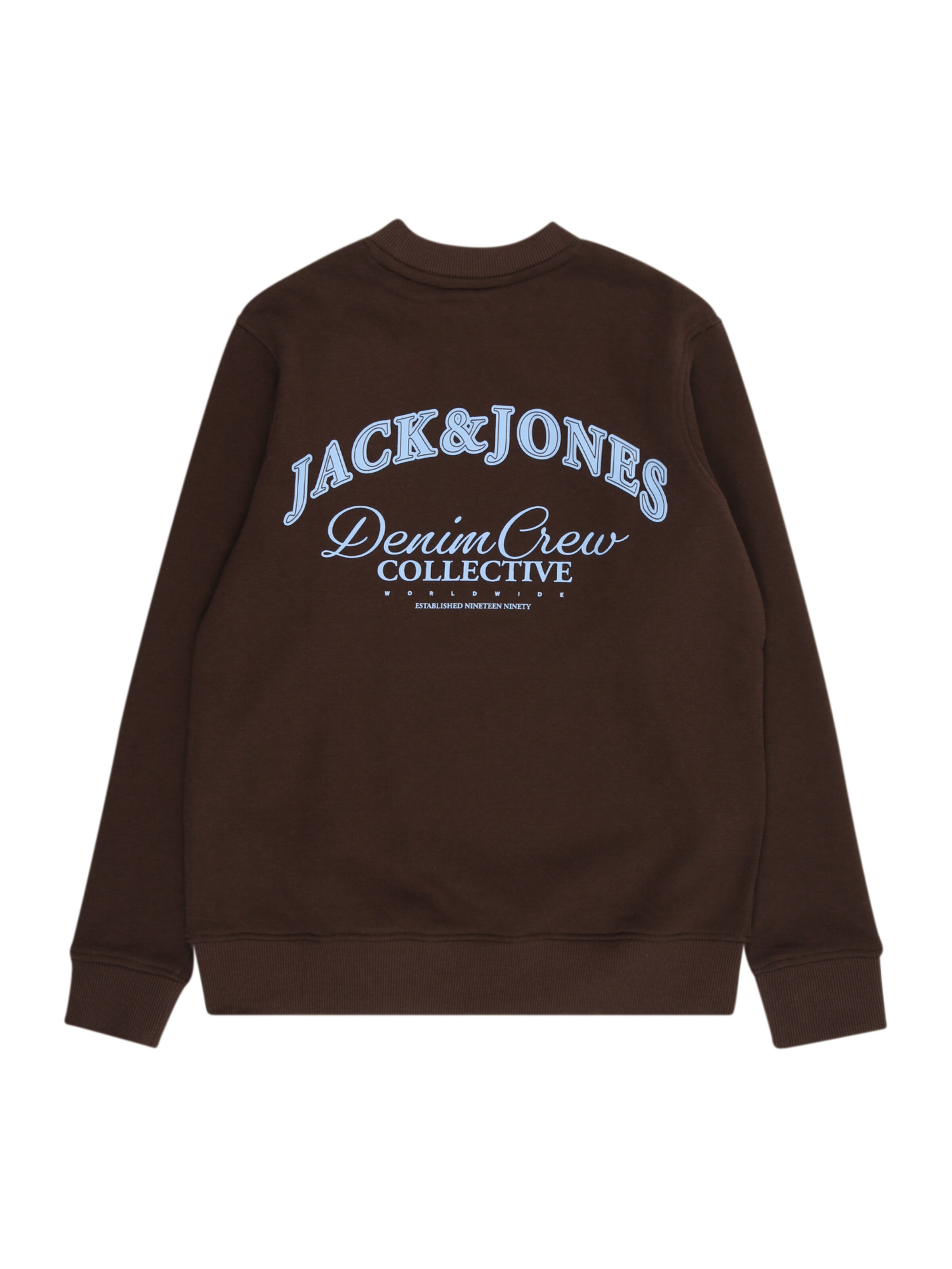 Jack & Jones Junior Collegepaita värissä ruskea