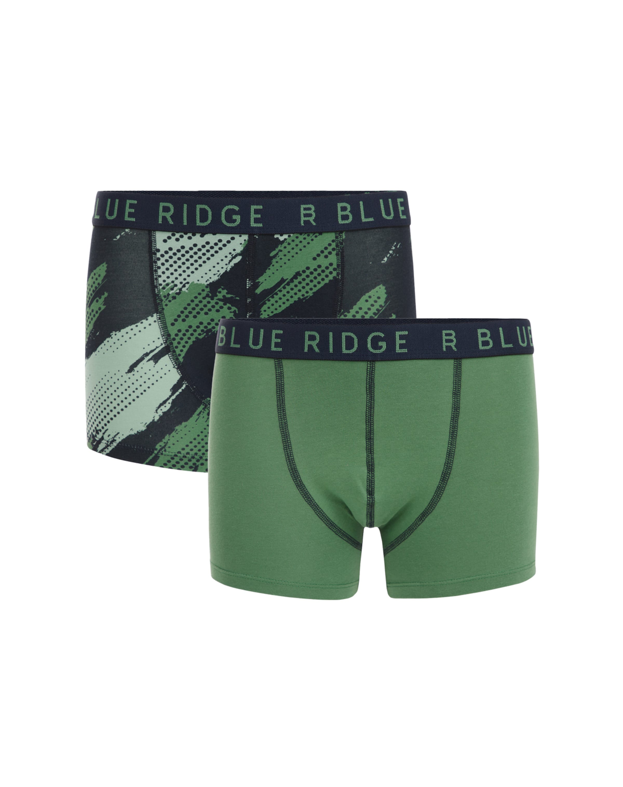 WE Fashion Трусы в Зеленый: спереди