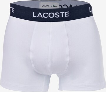 LACOSTE Boxershorts in Blau