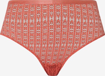 Hanro Panty ' Hedy ' in Orange: front