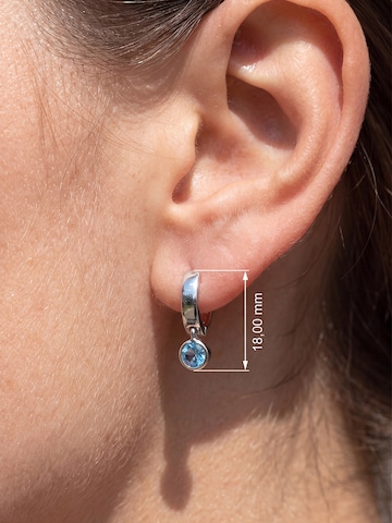 Jobo Earrings in Blue