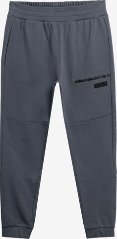 4F Конический (Tapered) Спортивные штаны в Серый: спереди