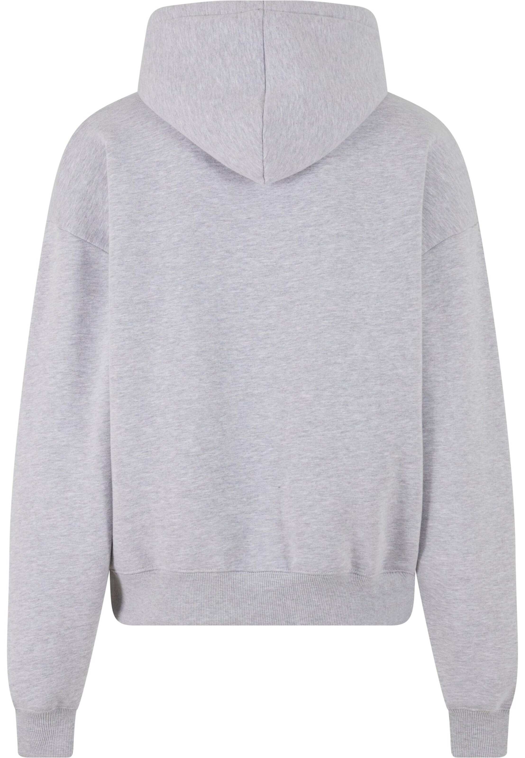 Prohibited Sweatshirt 'Camden' i grå