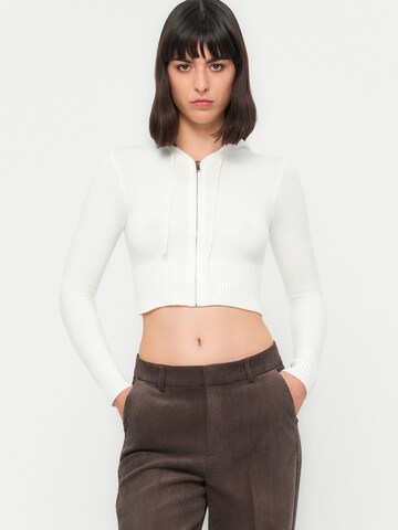 Wide leg Pantaloni cu dungă 'ONLKATEY' de la ONLY pe maro