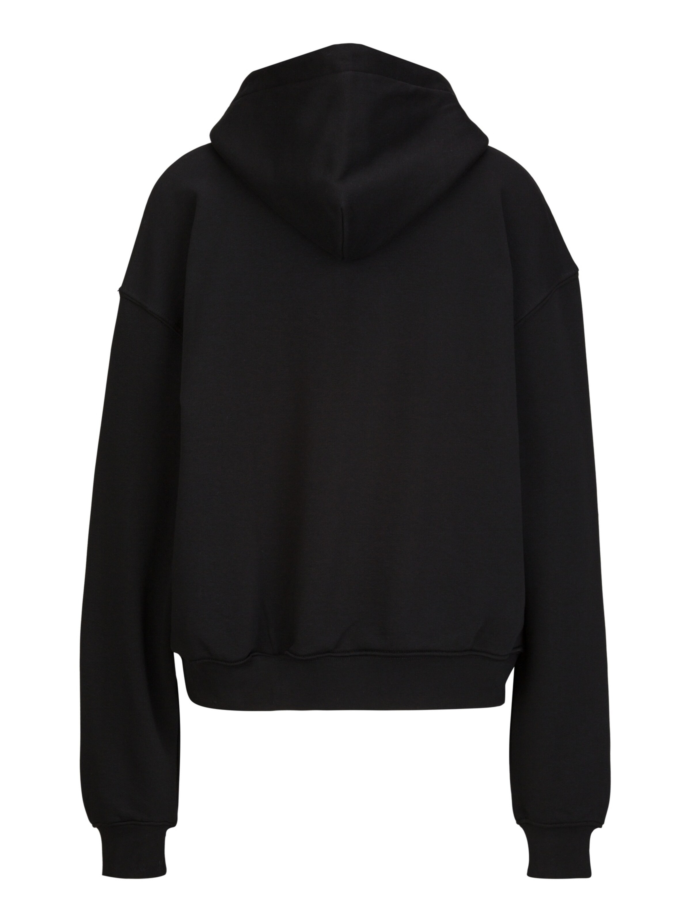 19V69 ITALIA Trui 'Kara' in Zwart