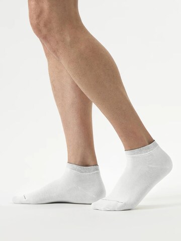 Von Jungfeld Socks 'Classic' in White