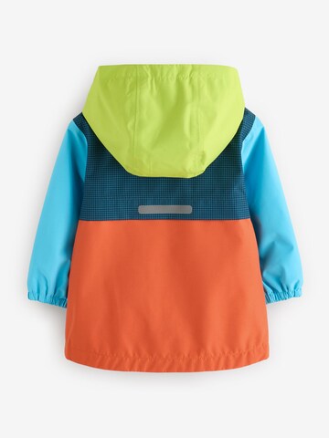 Next Tussenjas in Gemengde kleuren