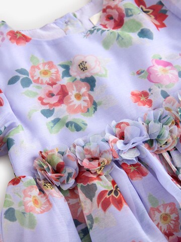 Next Kleid 'Cath Kidston' in Lila