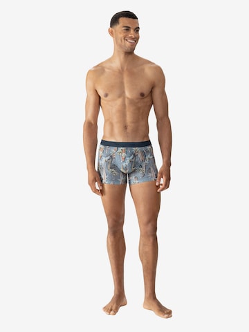 Mey Boxer shorts 'Surfer Paradise' in Grey