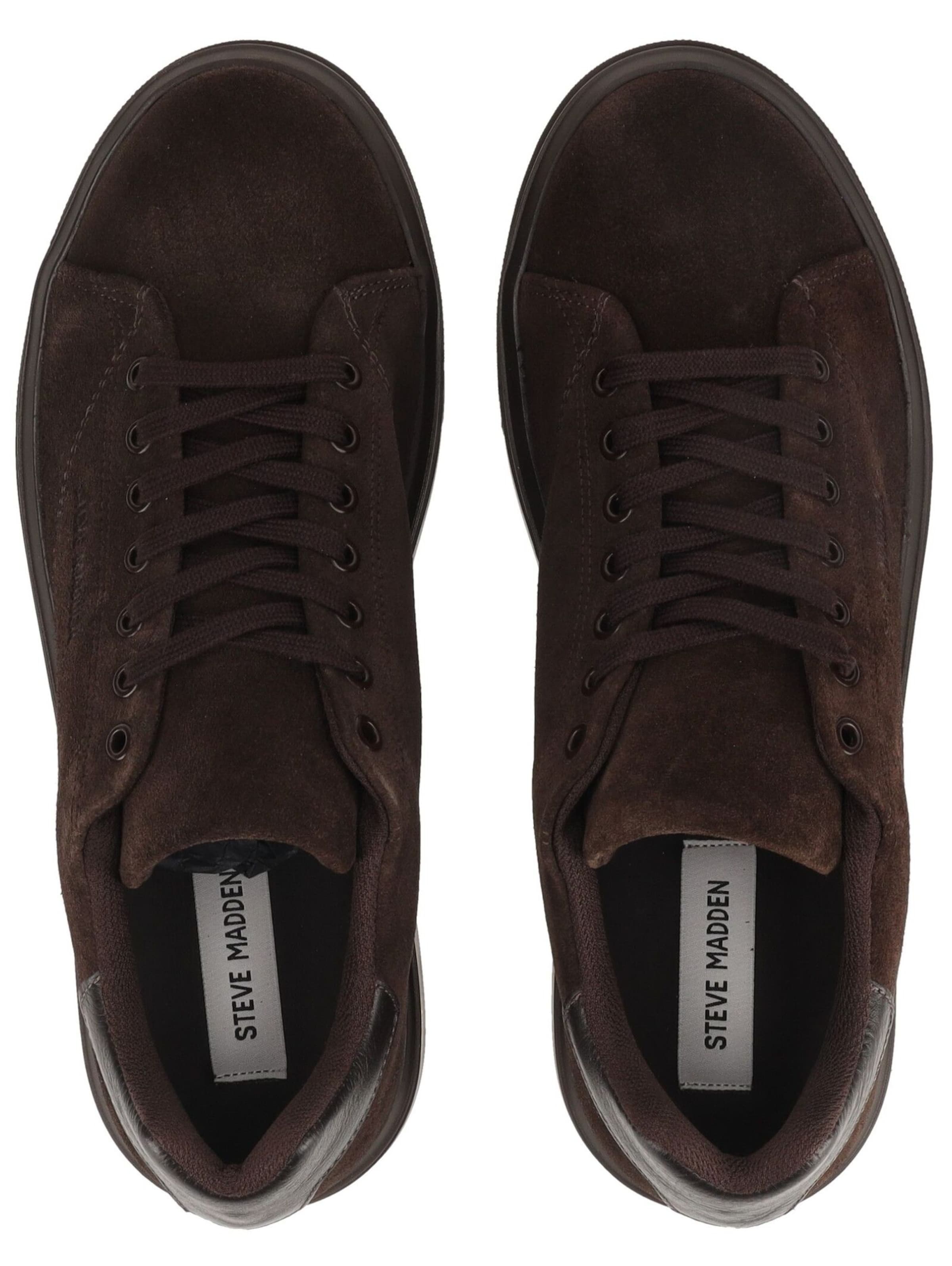 STEVE MADDEN Platform trainers in Brown