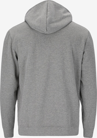 Virtus Sweatshirt 'Kritow' in Grey