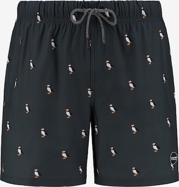 Shiwi Board Shorts 'puffin 4-way stretch' in Grün: predná strana