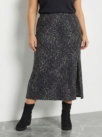 Stil Diva Rok in Grijs