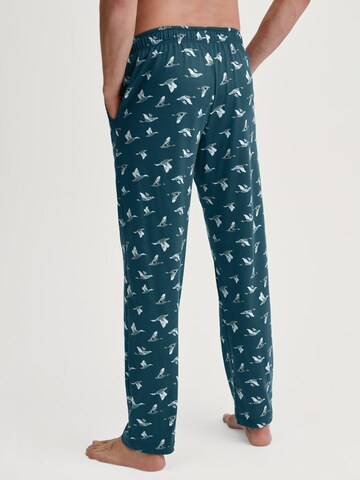 CALIDA Regular Hose in Grün