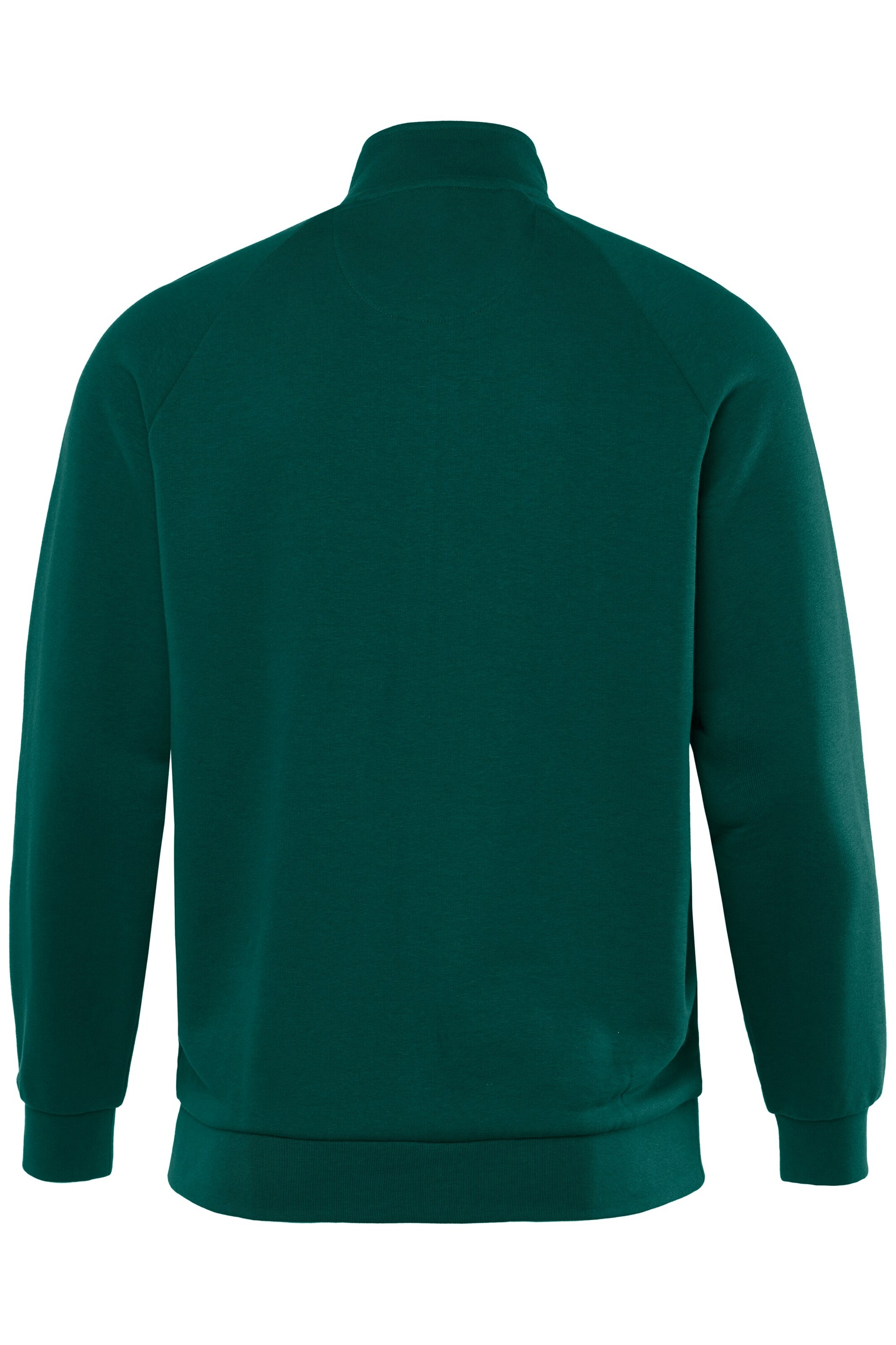 JAY-PI Sweatjacke in Grün