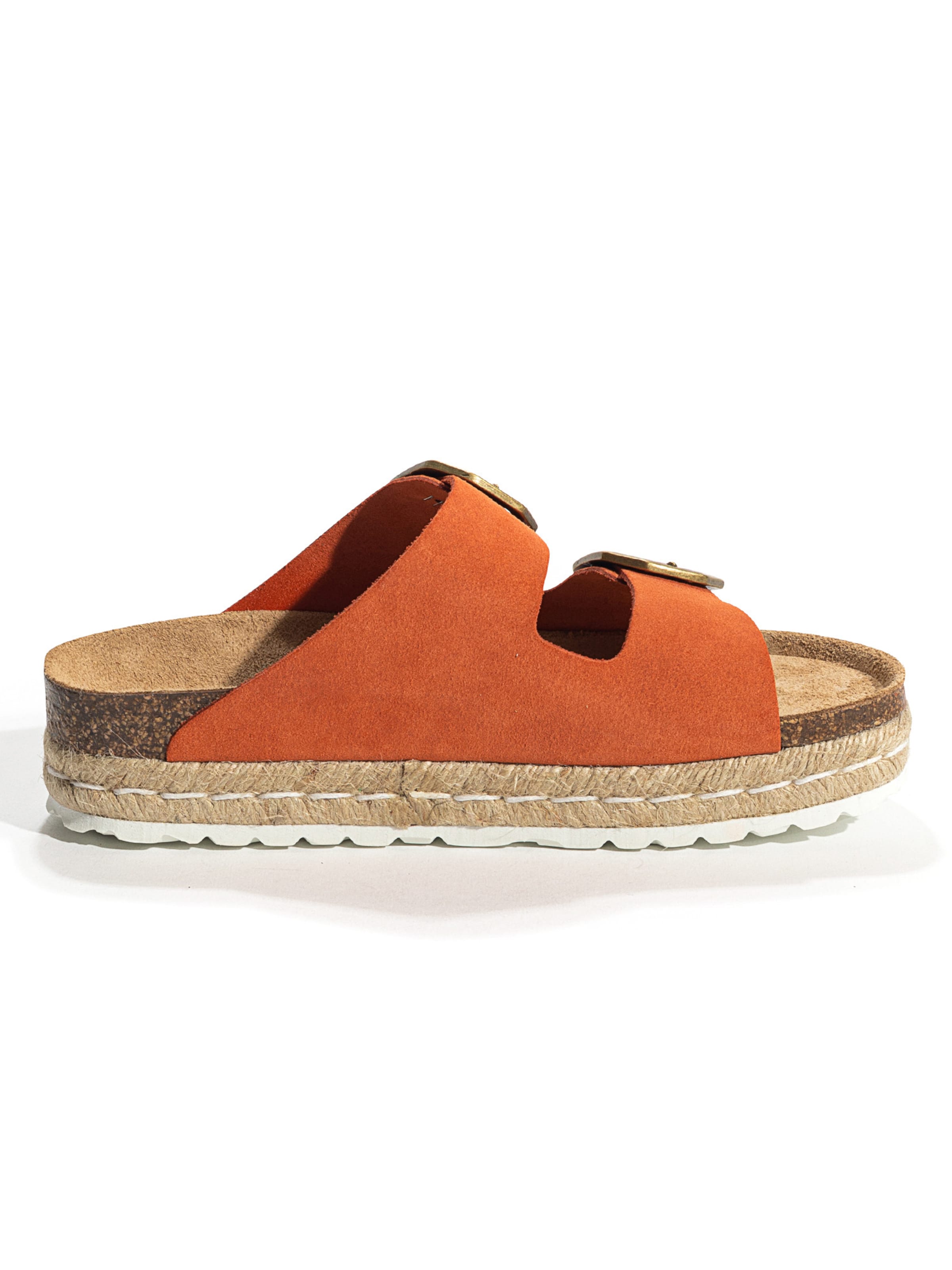 Bayton Mule 'Alcee' in Orange