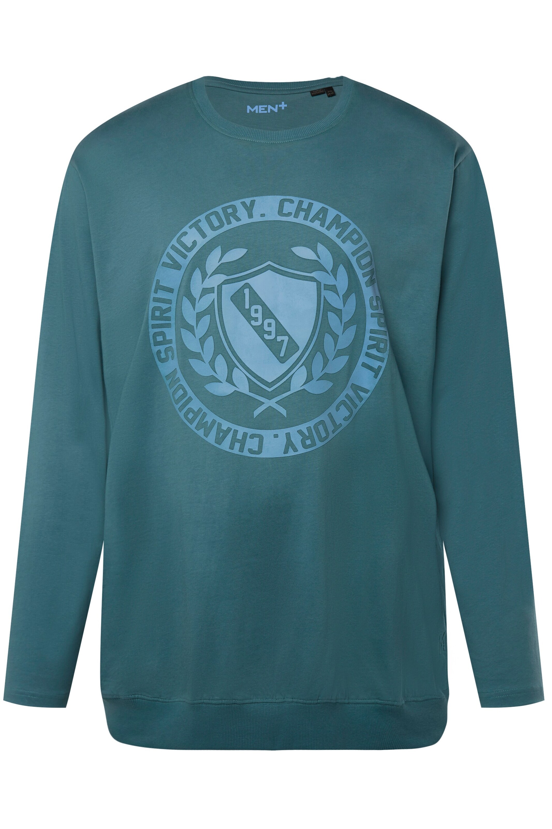 Men Plus Shirt in Blue: front